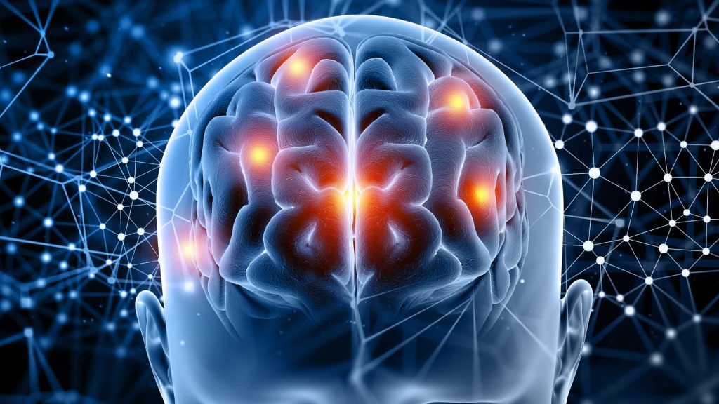 El papel del ejercicio en la salud del cerebro El papel del ejercicio en la salud del cerebro